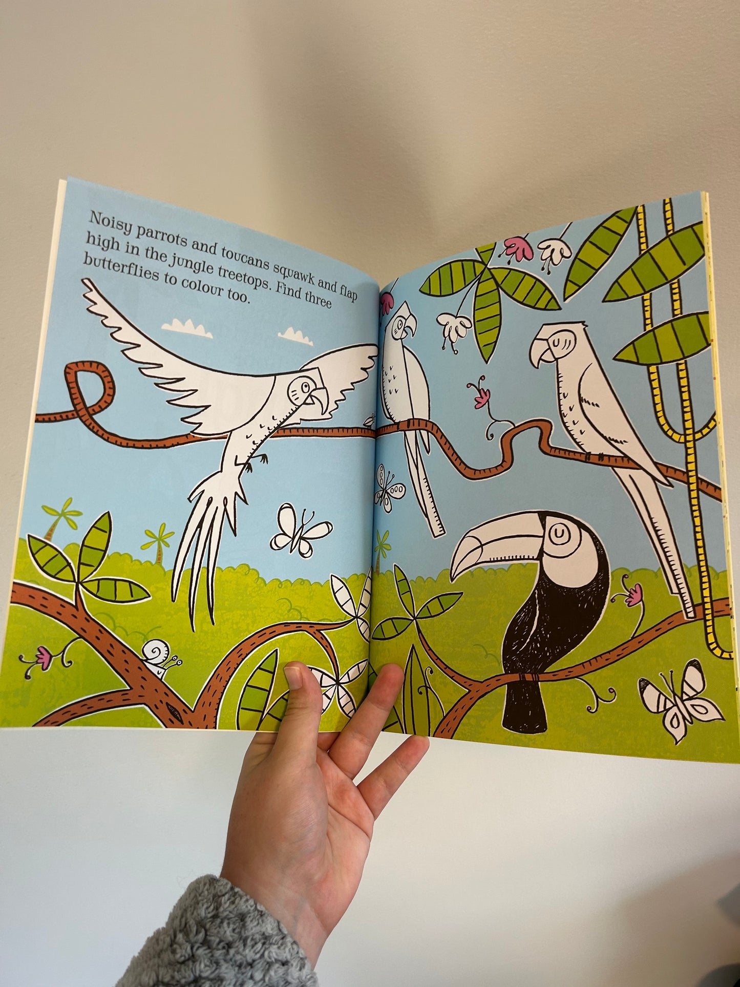 Usborne jungle colouring book