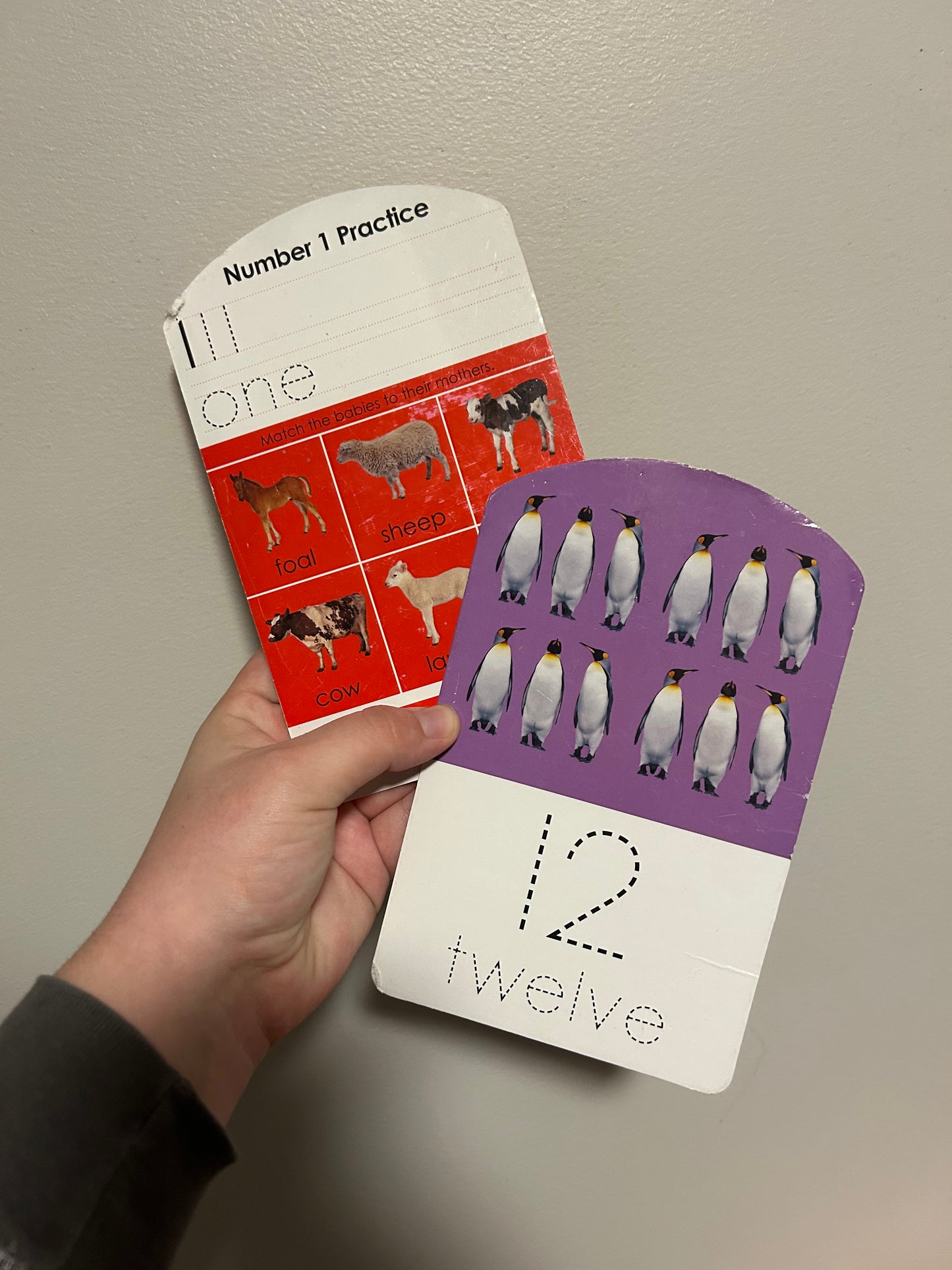 Wipe clean number activity cards