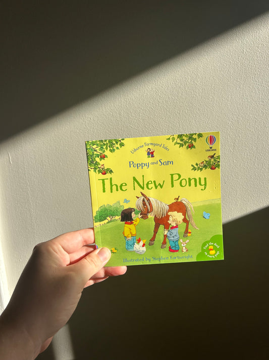 Usborne poppy & Sam new pony book